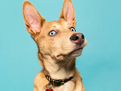 Почему вас боятся сотрудники