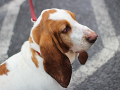 Почему скучная работа не может быть эффективной