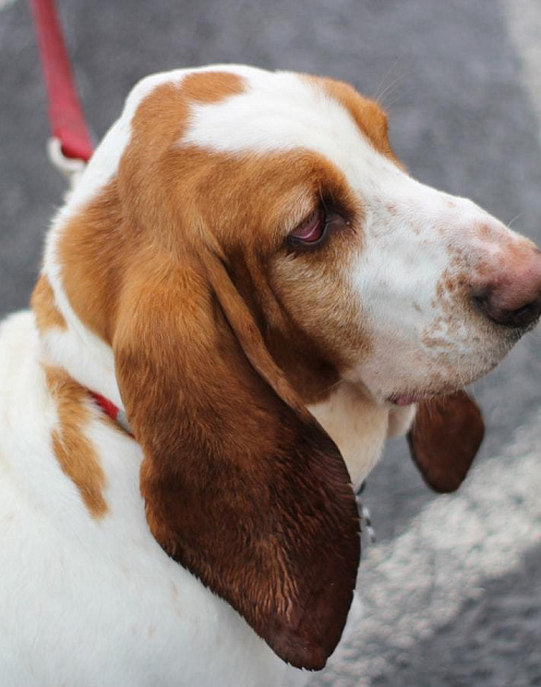 Почему скучная работа не может быть эффективной