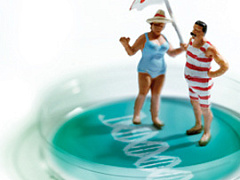 Генетика и анатомия организации*