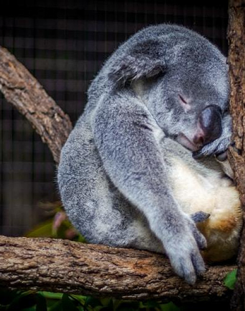 Грозит ли вам переутомление: результаты теста