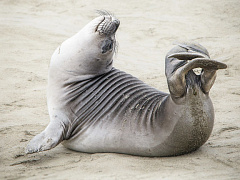 Почему сотрудники могут приходить на работу и уходить домой в любое время