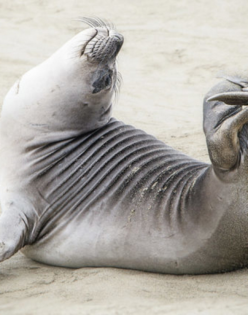 Почему сотрудники могут приходить на работу и уходить домой в любое время