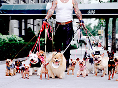 Стоит ли отказываться от стабильной работы ради мечты