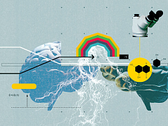 Как мозг решает, кому верить