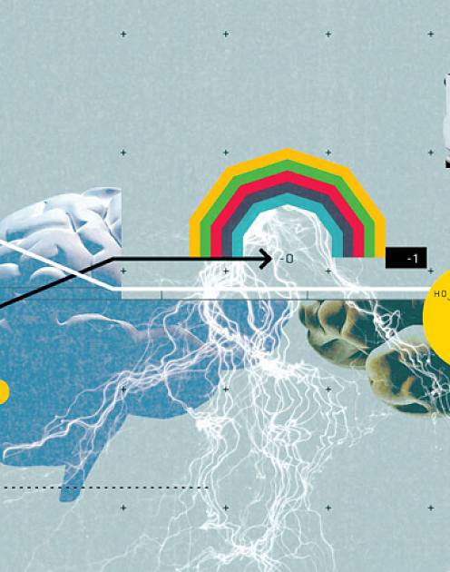 Как мозг решает, кому верить