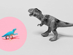 Откуда не ждали: почему успешные CEO приходят из малоизвестных компаний