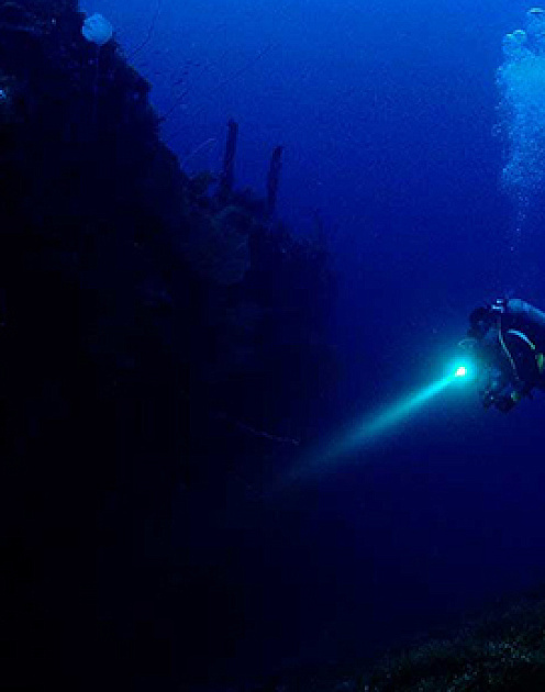 Без цели нет роста