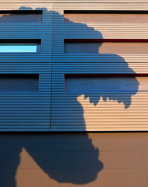 Как справиться с токсичным коллегой