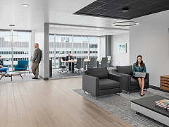 Слишком много правды