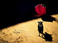 Управление рисками: новые принципы