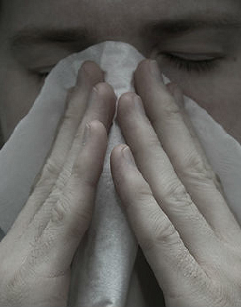 Будет ли лихорадить вашу организацию, если вы чихнете?