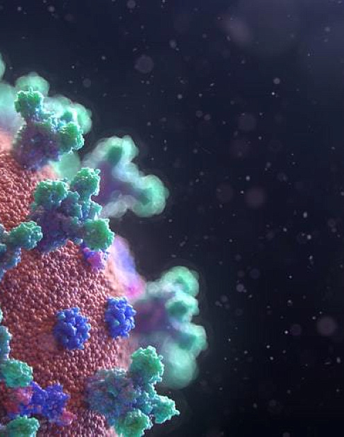 Как перезапустить экономику в условиях пандемии