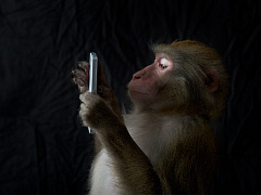 Как полюбить холодные звонки