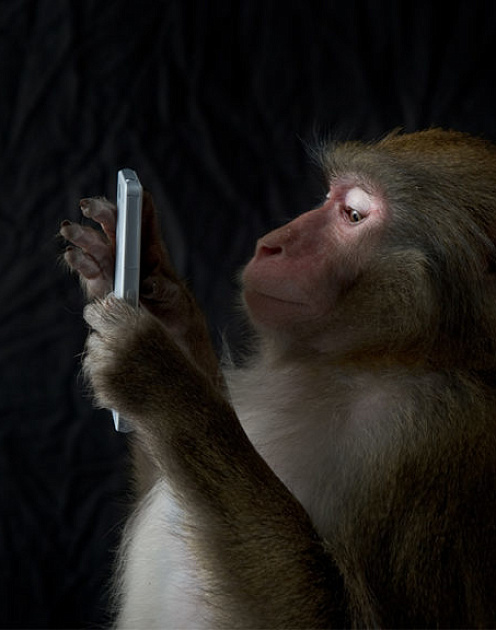 Как полюбить холодные звонки