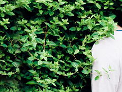 Что делать, если личная переписка попадает не в те руки