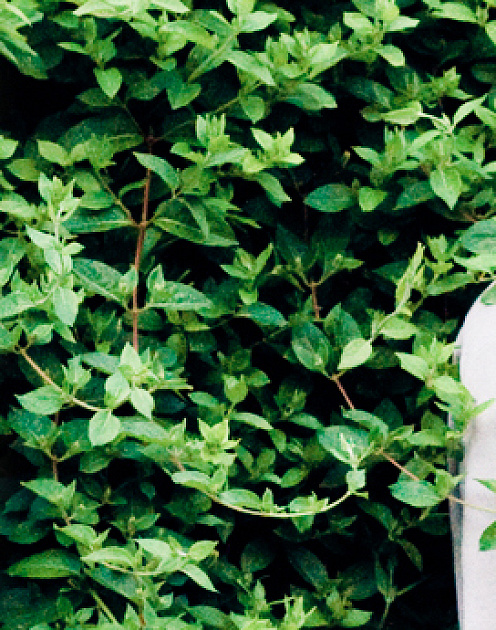 Что делать, если личная переписка попадает не в те руки