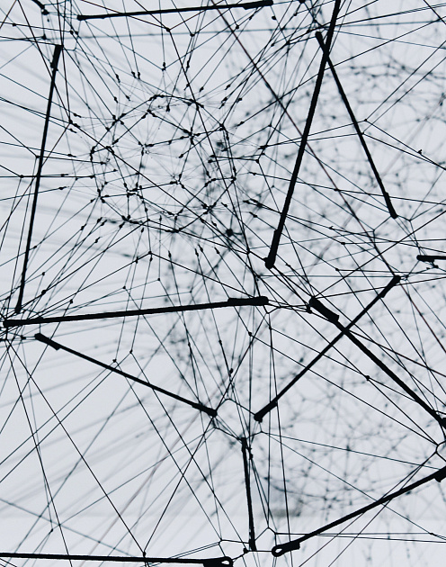 Как создать в компании культуру данных