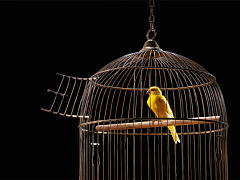 Три причины, по которым у вас не получается следовать за своей страстью