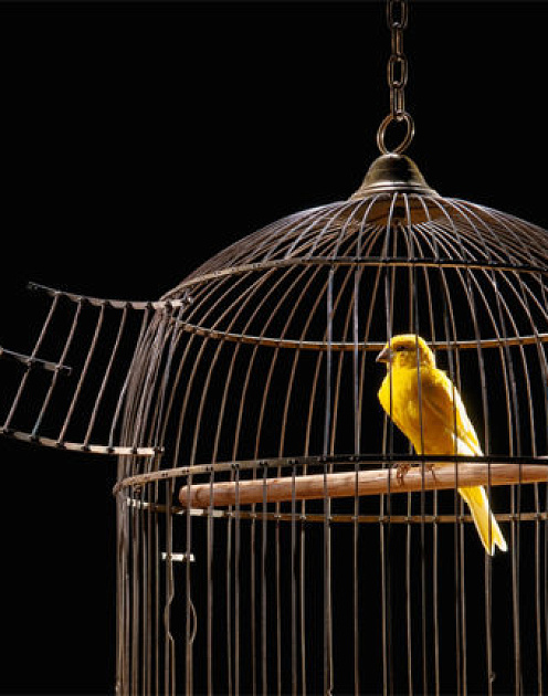 Три причины, по которым у вас не получается следовать за своей страстью