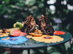 Скрытые признаки провального проекта