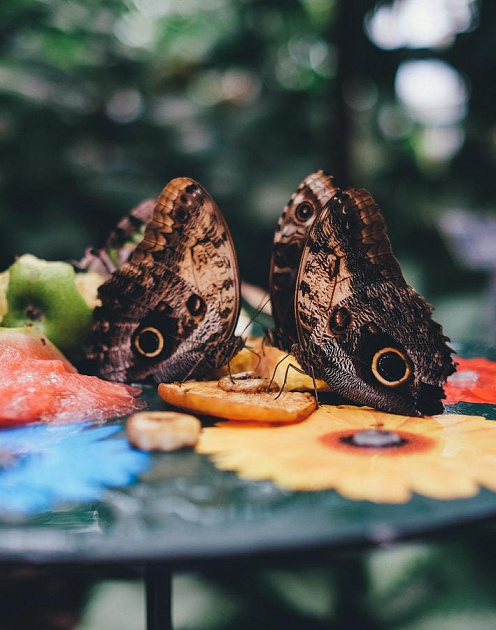 Скрытые признаки провального проекта