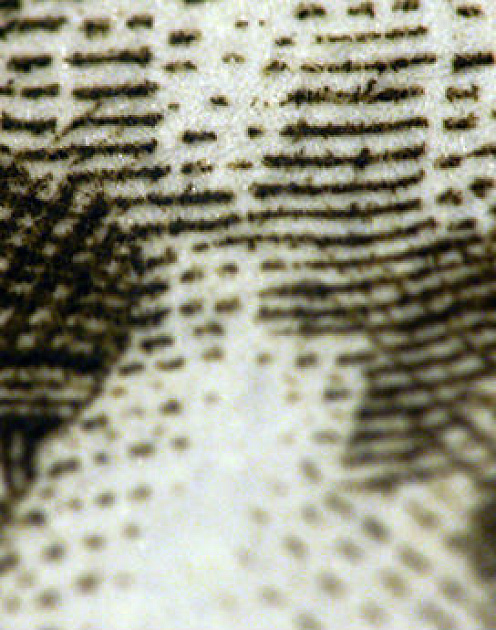 Как обсуждать с сотрудниками денежные вопросы