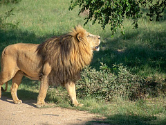 Семь моделей мышления лидеров