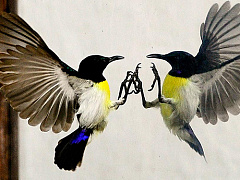 Как правильно хвастаться