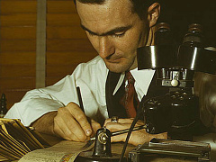 Экспериментируйте с прототипами и вы защитите свой бренд