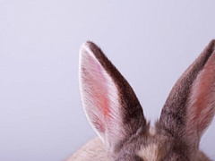 Наука убеждать: нужно выйти за рамки своих возможностей