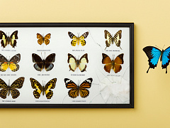 О чем нужно помнить, решаясь перейти на фриланс