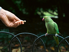 Переговоры из слабой позиции: не приговор, а профессиональный вызов