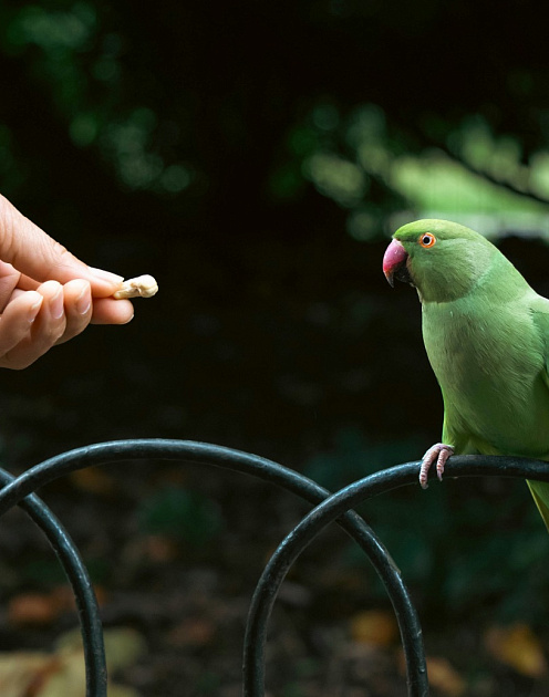 Переговоры из слабой позиции: не приговор, а профессиональный вызов