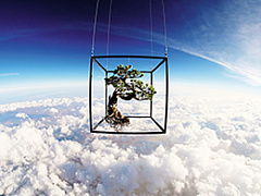 И все-таки нация чтит короля…