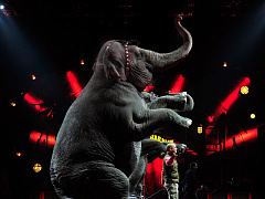 «Алмазное колесо управления»: как удвоить эффективность