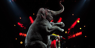 «Алмазное колесо управления»: как удвоить эффективность