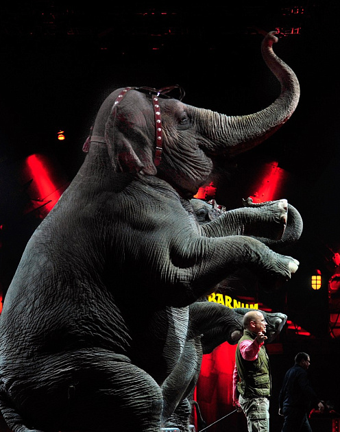 «Алмазное колесо управления»: как удвоить эффективность