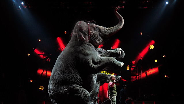 «Алмазное колесо управления»: как удвоить эффективность