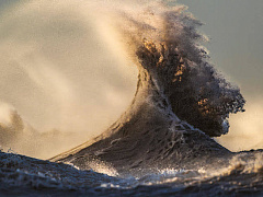 Упоение властью: чем опасны высокомерие и эгоцентризм лидера