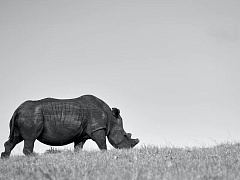 Пять антикризисных мер для бизнеса