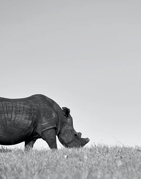 Пять антикризисных мер для бизнеса