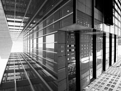 Дилемма капиталиста