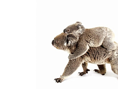 Без лишних слов: что делать, если подчиненные требуют от вас чрезмерного общения