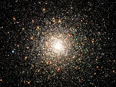 Лучшие из лучших: что самые успешные компании делают со своими «звездами»