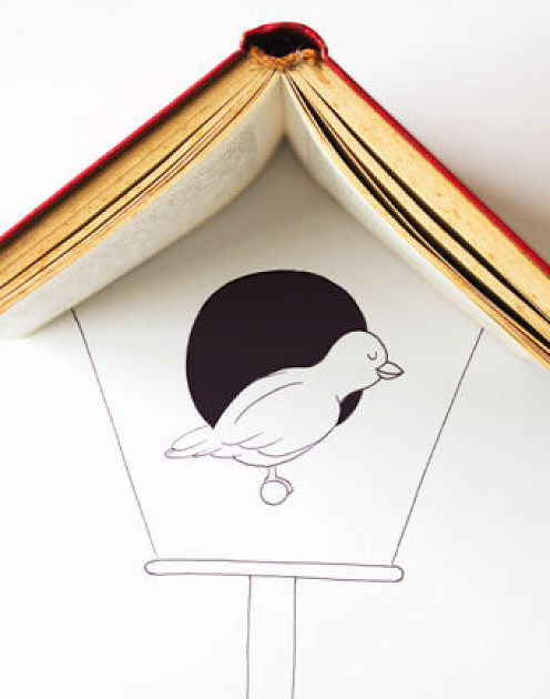 Как чтение может развить ваш эмоциональный интеллект