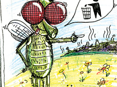 История о мухе и пчеле