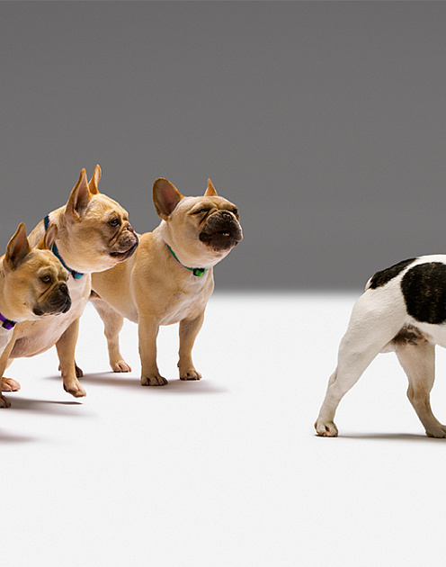 Как перестать беспокоиться о том, что о вас подумают