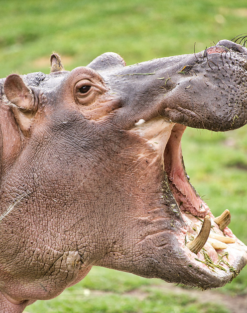Не думайте о мести: что делать, если начальник ведет себя отвратительно