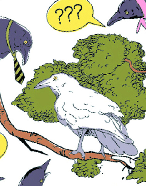 Куда полетят белые вороны